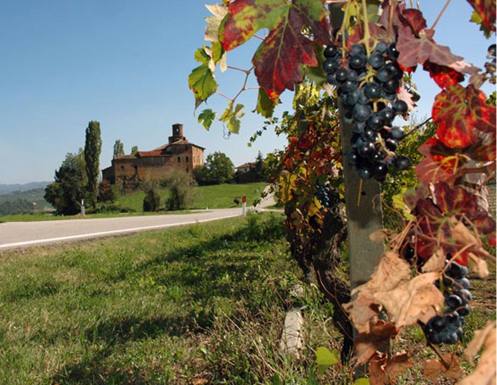 Cascina Rocca Agriturismo B&B La Morra Quarto foto